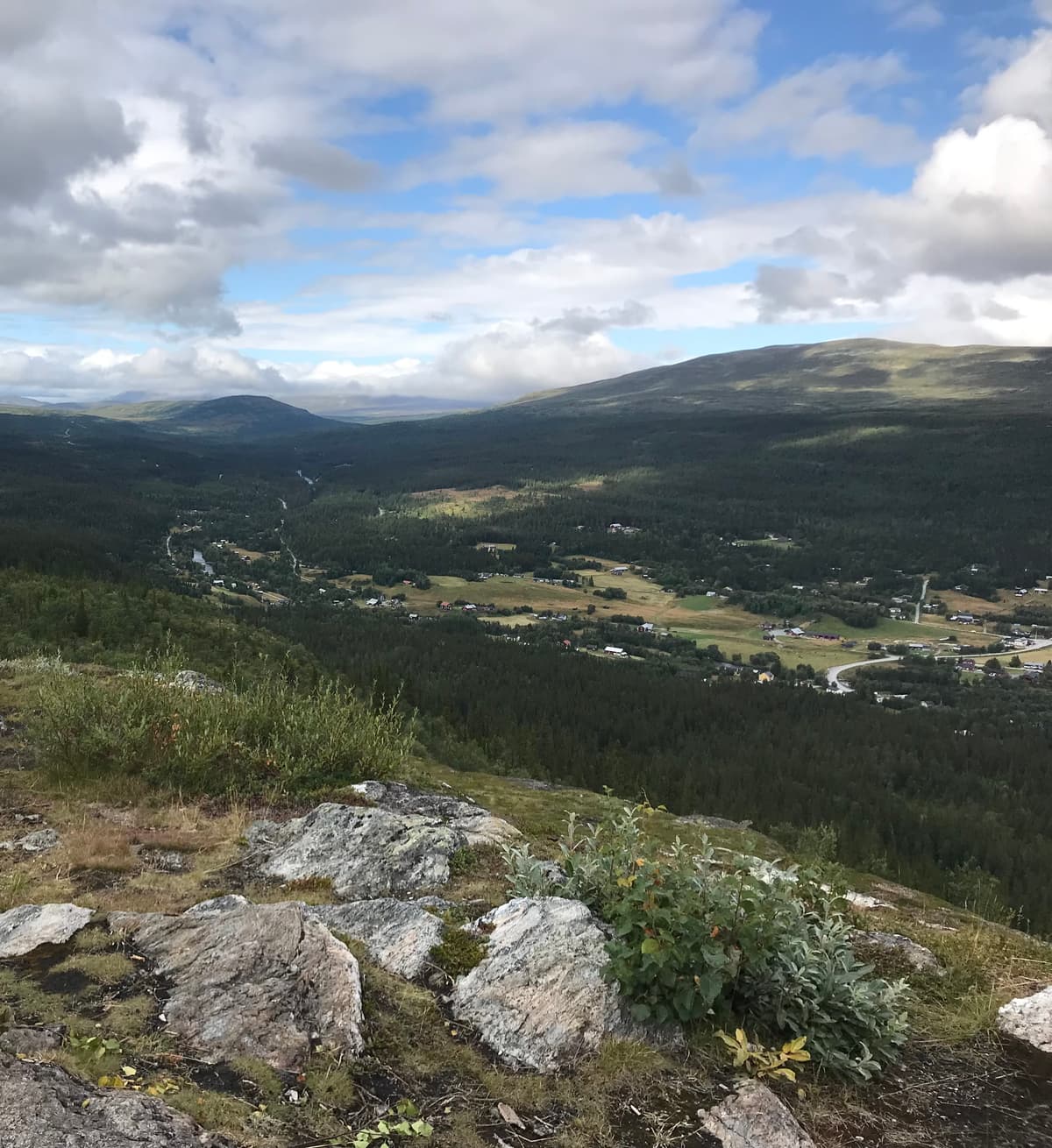 Ljungdalen landscape
